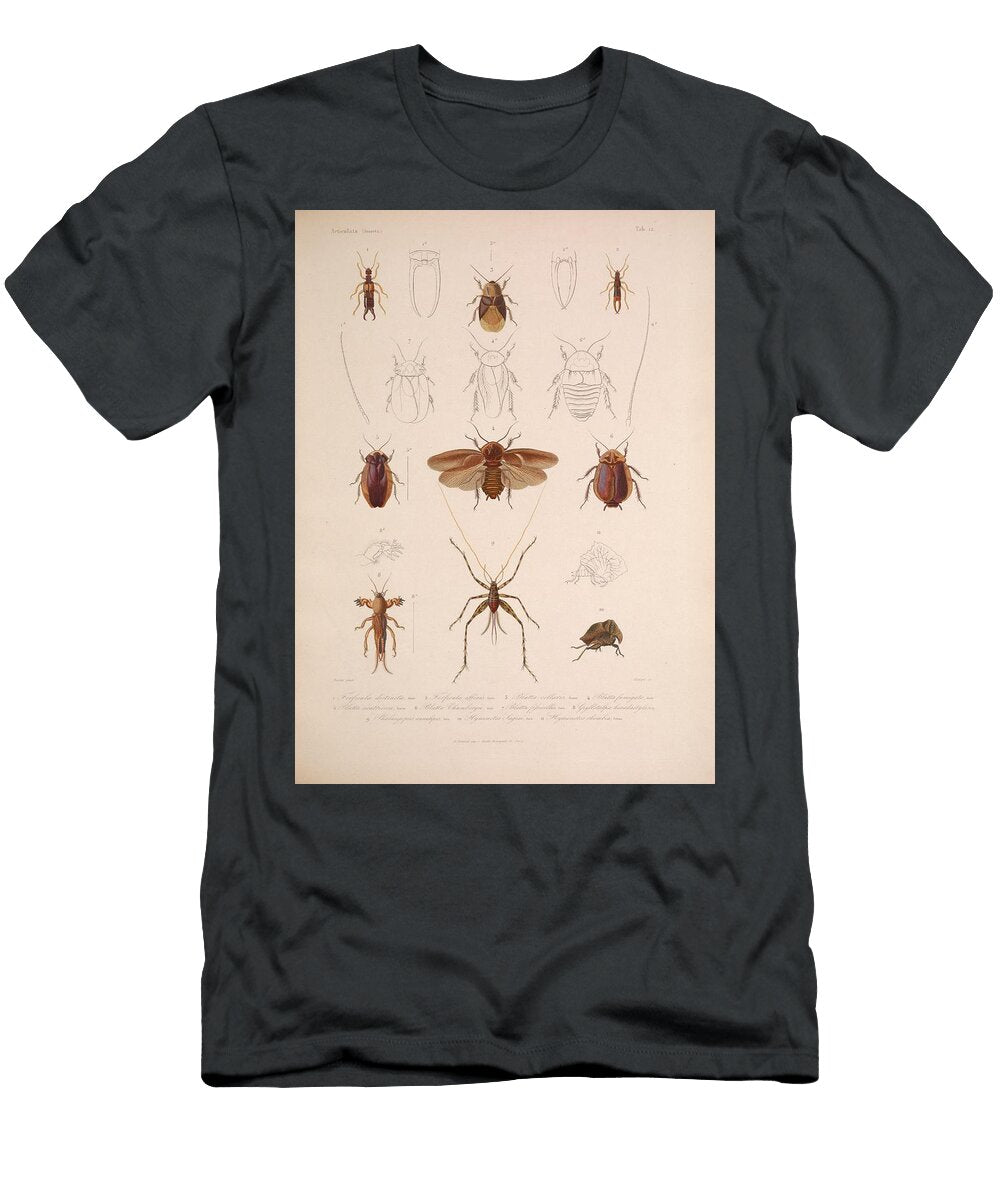 2 Insects Beautiful Nature Prints T-Shirt