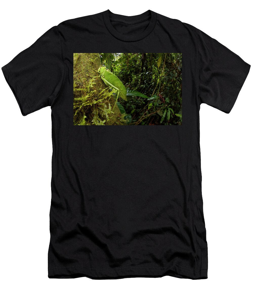 2 Katydid Bush Cricket Camouflaged Amongst Cloud Forest Alex Hyde Natureplcom T-Shirt