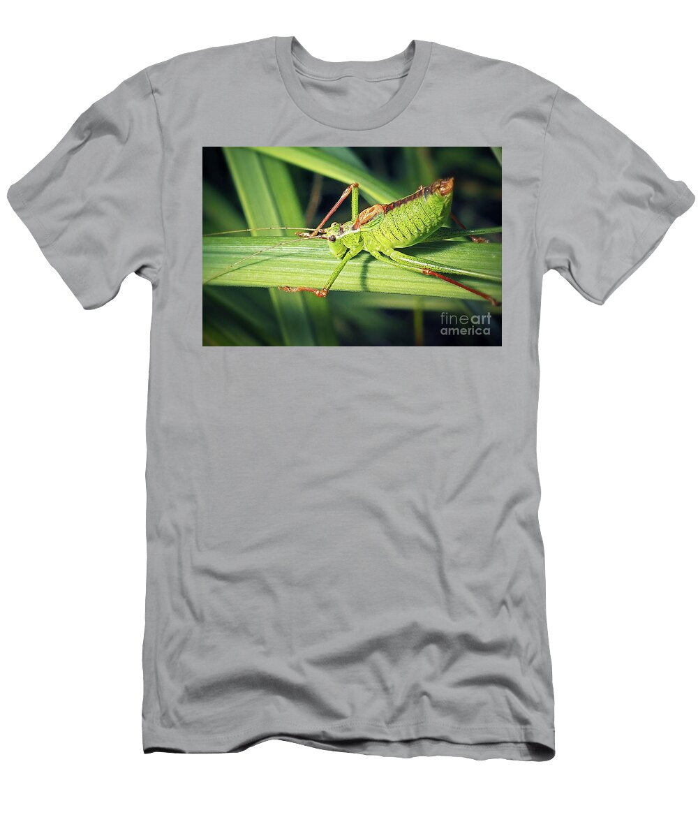 2 Leptophyes Punctatissima Speckled Bush Cricket Insect Frank Ramspott T-Shirt