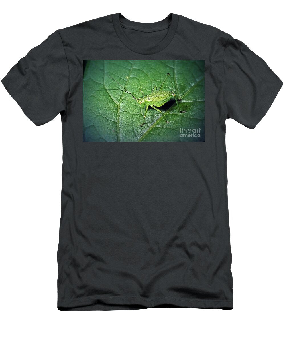 2 Leptophyes Punctatissima Speckled Bush Cricket Nymph Insect Frank Ramspott T-Shirt