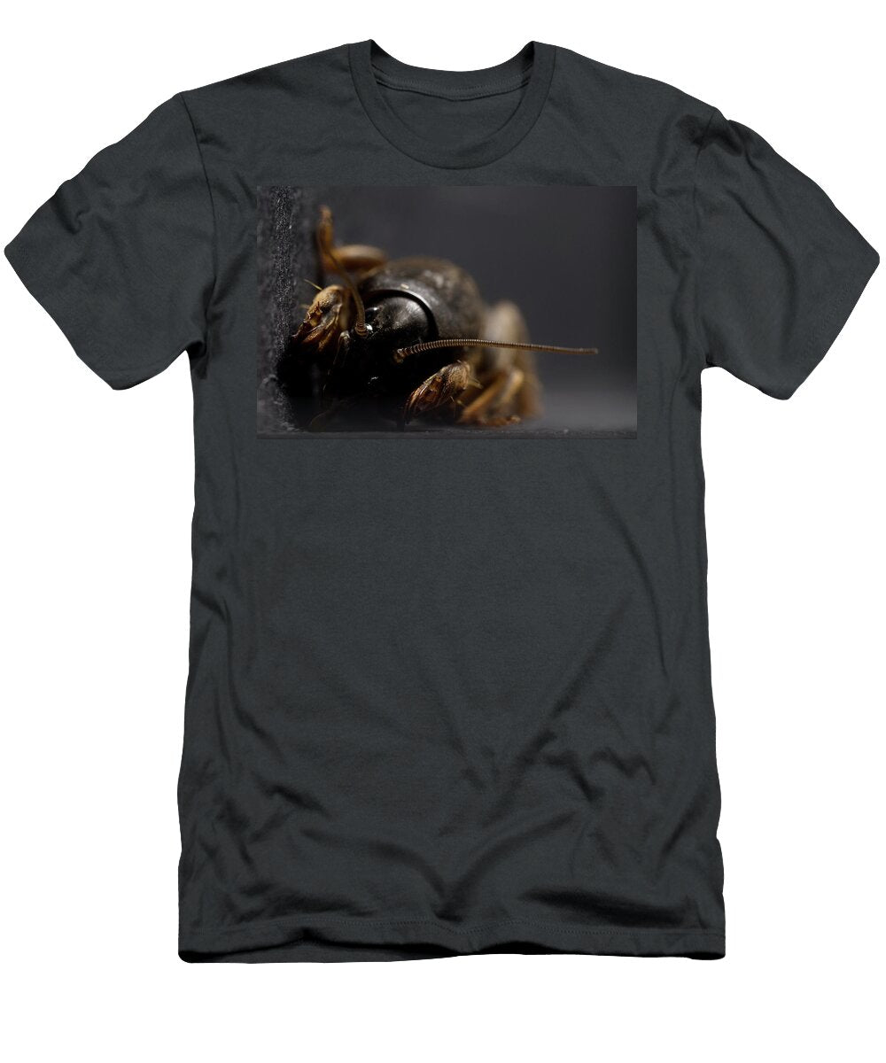 2 Mole Cricket Gryllotalpa Brachyptera Aaron Ansarov T-Shirt
