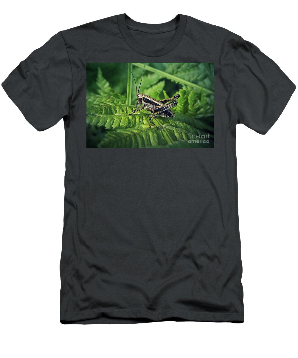 2 Pholidoptera Griseoaptera Dark Bush Cricket Insect Frank Ramspott T-Shirt