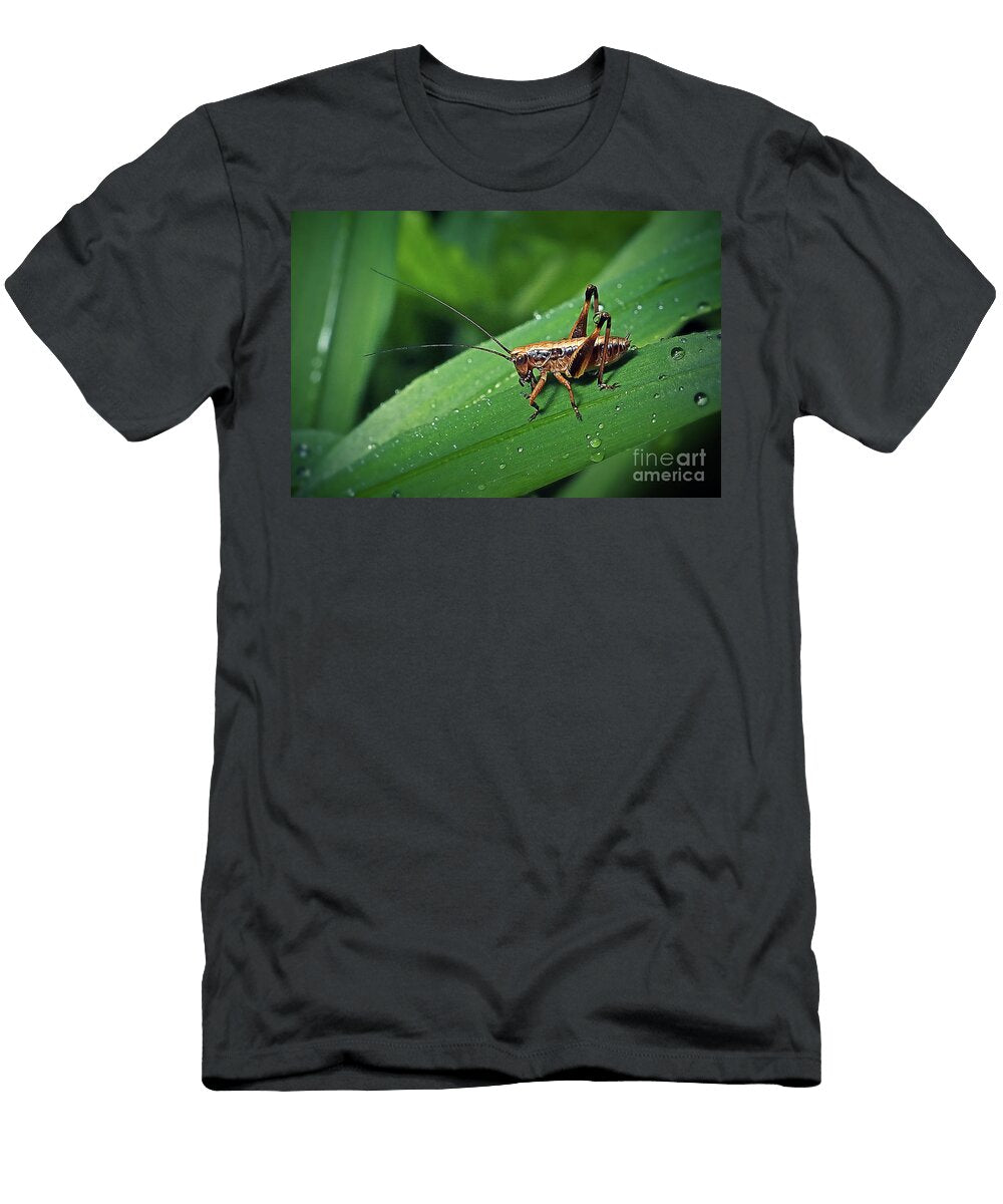 2 Pholidoptera Griseoaptera Dark Bush Cricket Nymph Insect Frank Ramspott T-Shirt