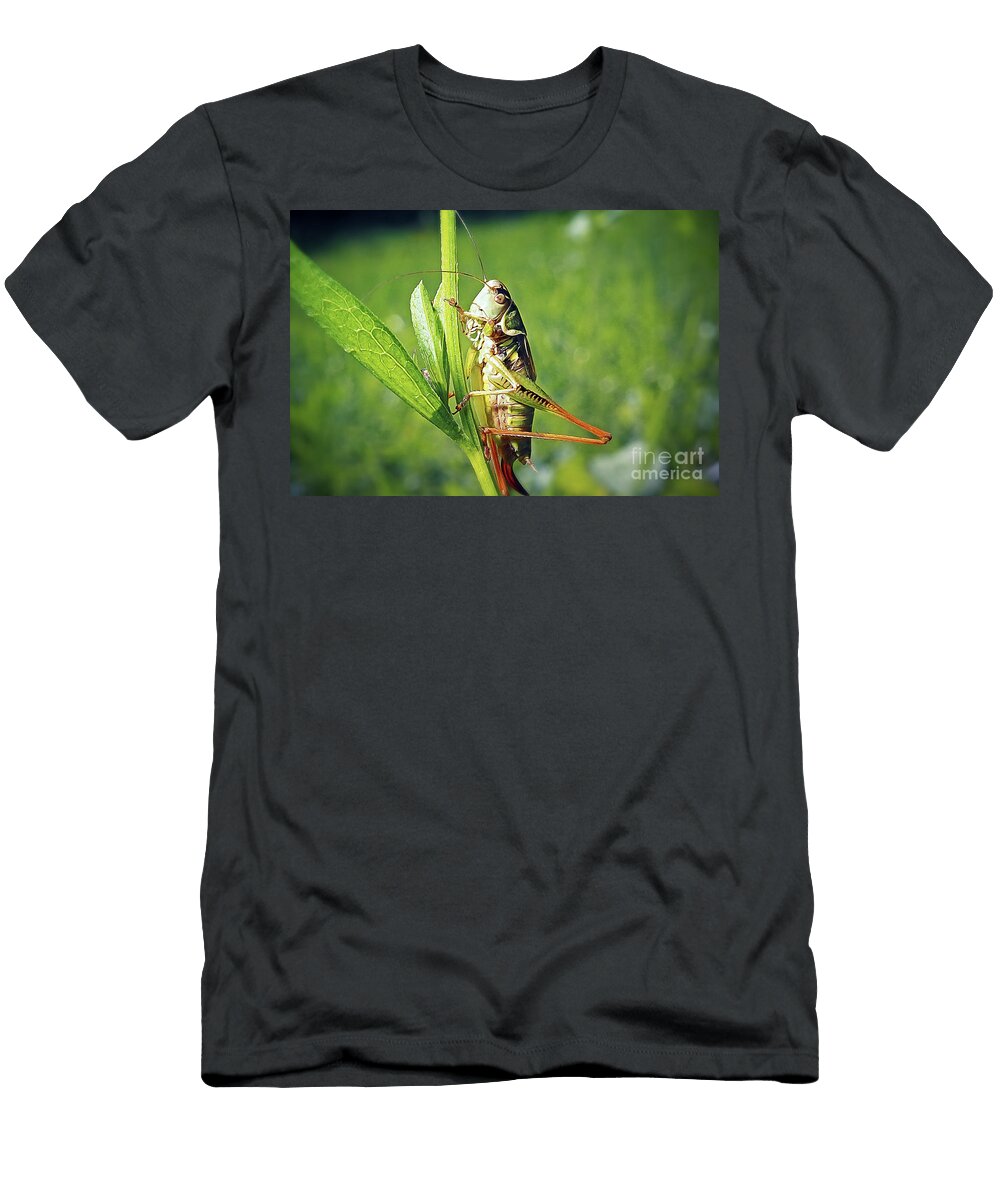 2 Roeseliana Roeselii Roesels Bush Cricket Insect Frank Ramspott T-Shirt