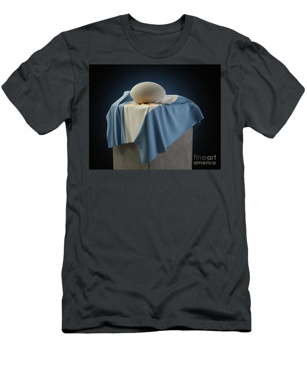 2 Rugby Ball and Argentina Flag Allan Swart T-Shirt
