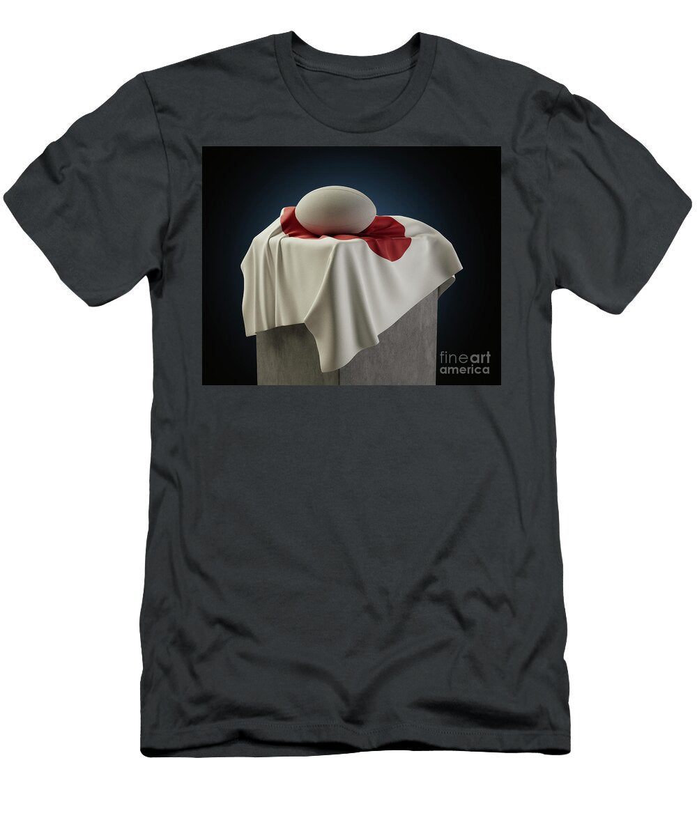 2 Rugby Ball and Japan Flag Allan Swart T-Shirt