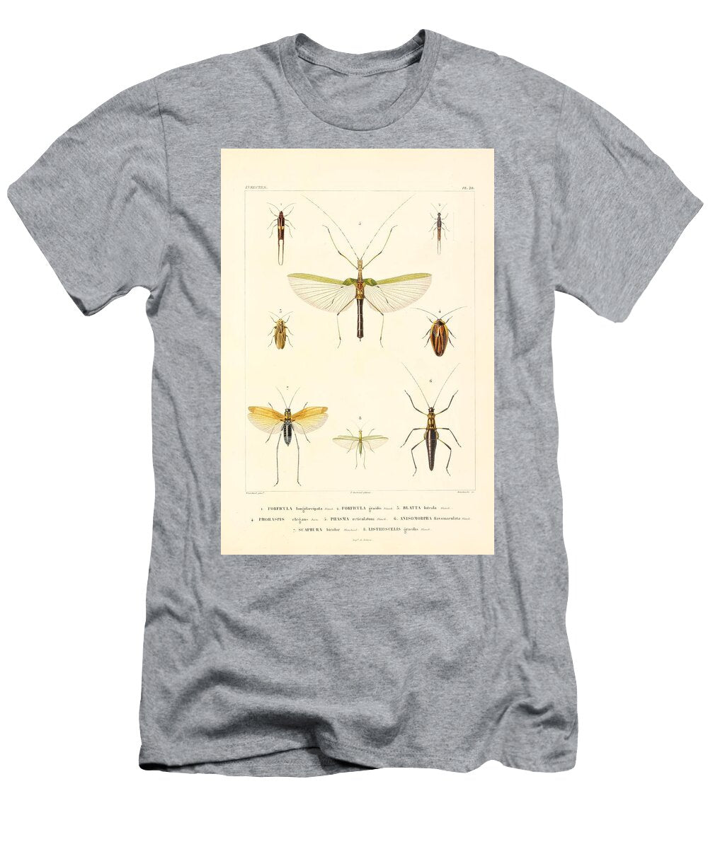 20 Insects Beautiful Nature Prints T-Shirt
