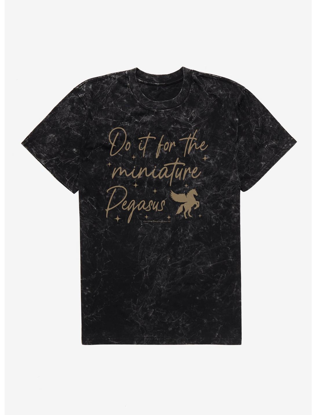 A Court Of Silver Flames Do It For The Miniature Pegasus Mineral Wash T-Shirt