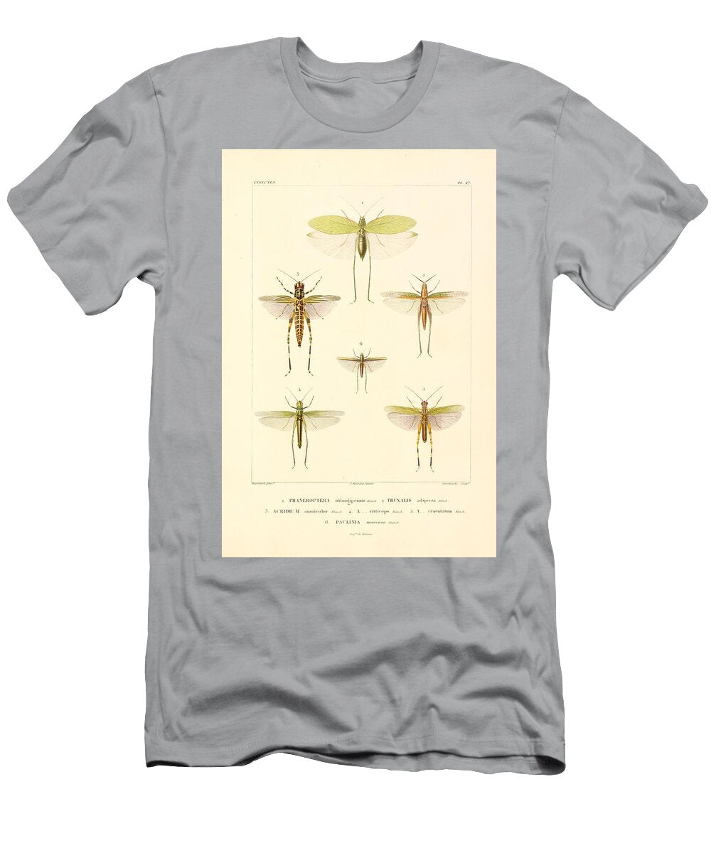 21 Insects Beautiful Nature Prints T-Shirt