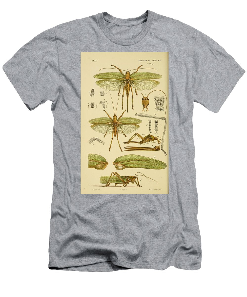 22 Insects Beautiful Nature Prints T-Shirt