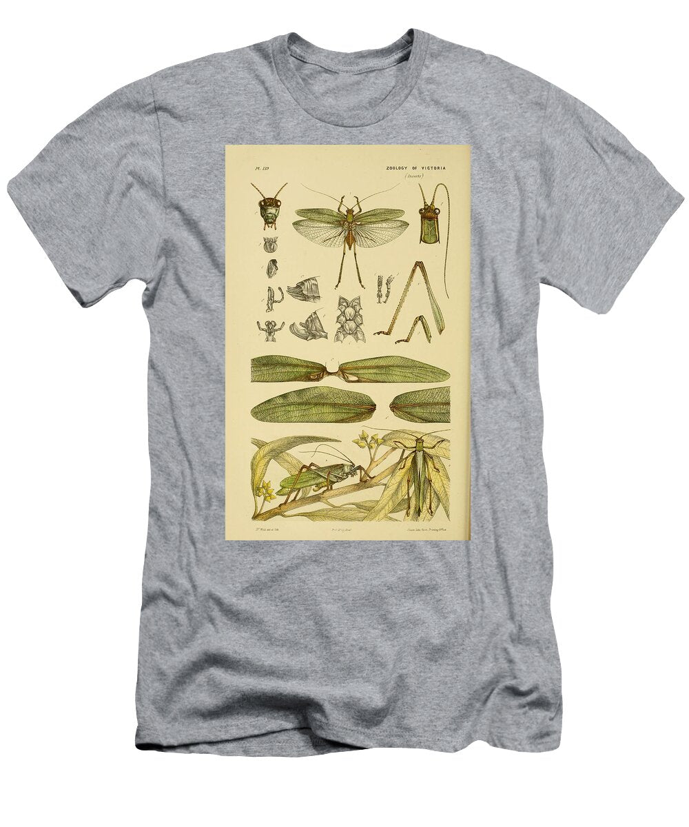 23 Insects Beautiful Nature Prints T-Shirt