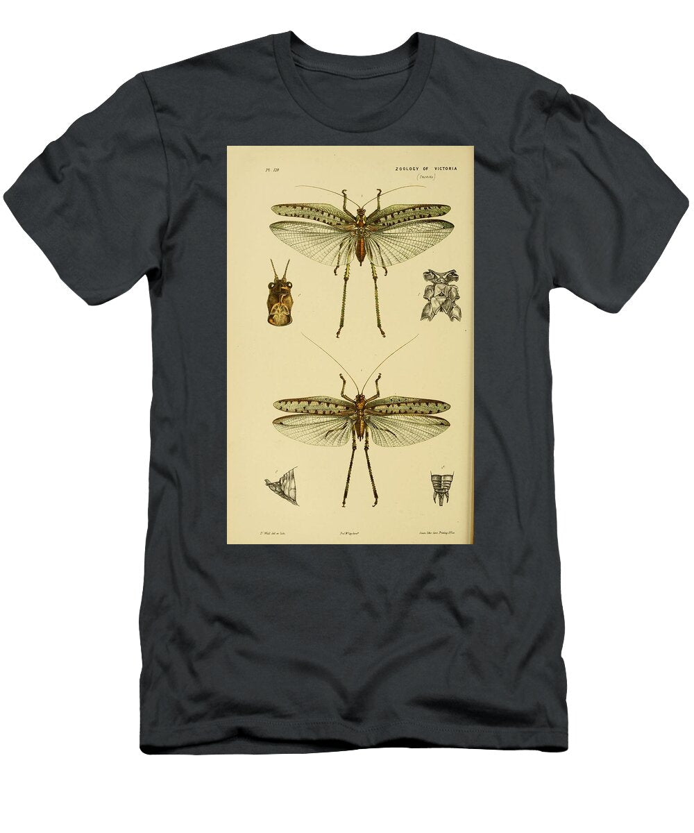 24 Insects Beautiful Nature Prints T-Shirt
