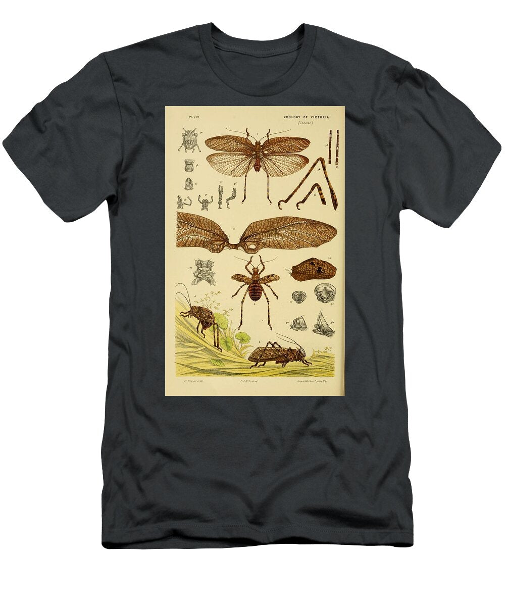 25 Insects Beautiful Nature Prints T-Shirt