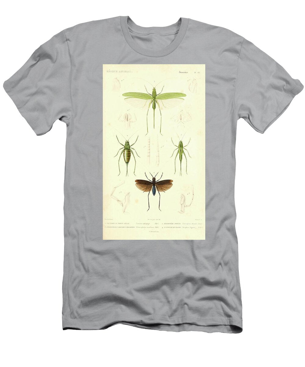 26 Insects Beautiful Nature Prints T-Shirt