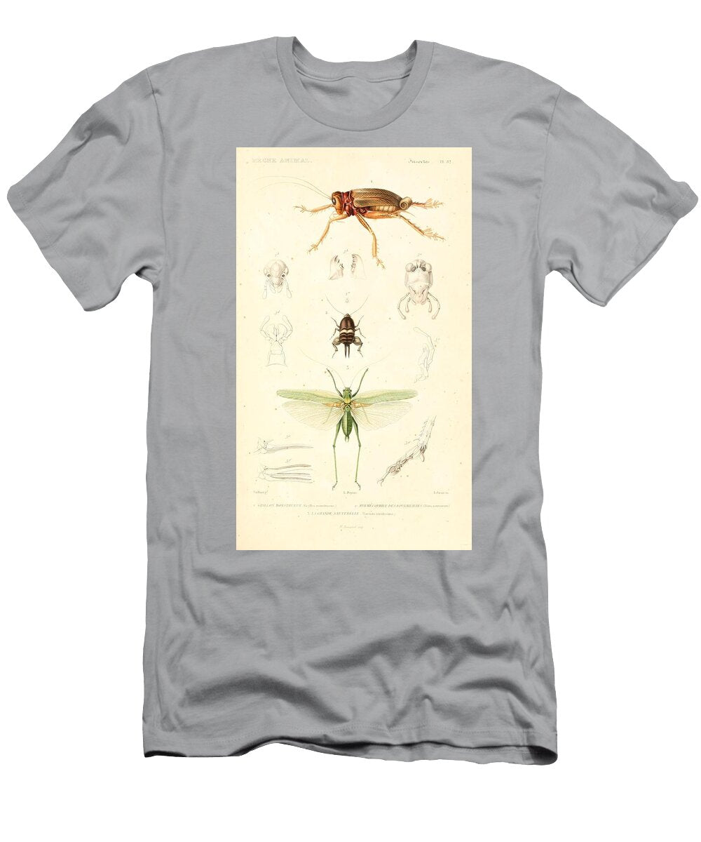 27 Insects Beautiful Nature Prints T-Shirt
