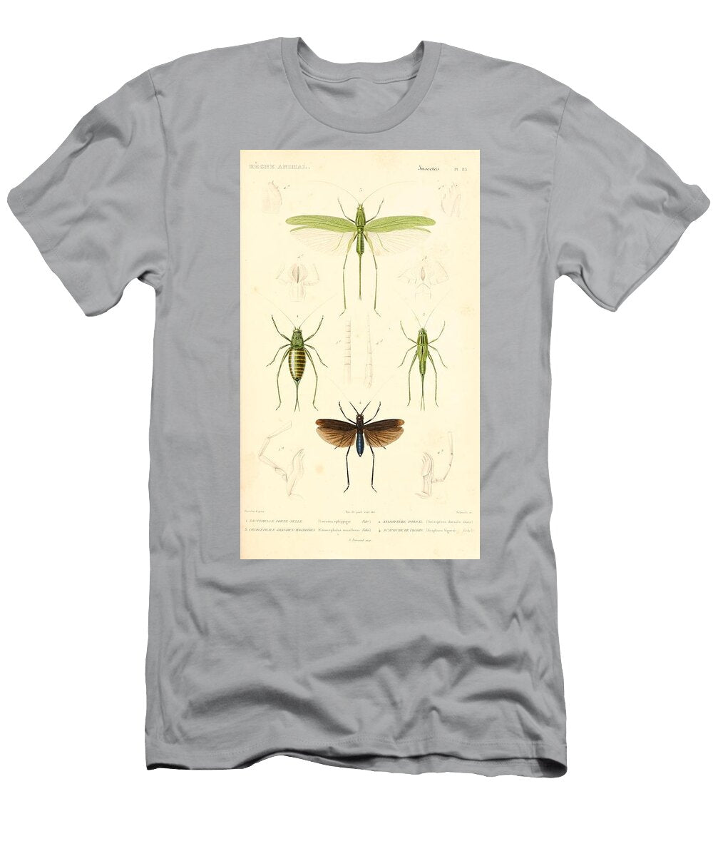 28 Insects Beautiful Nature Prints T-Shirt