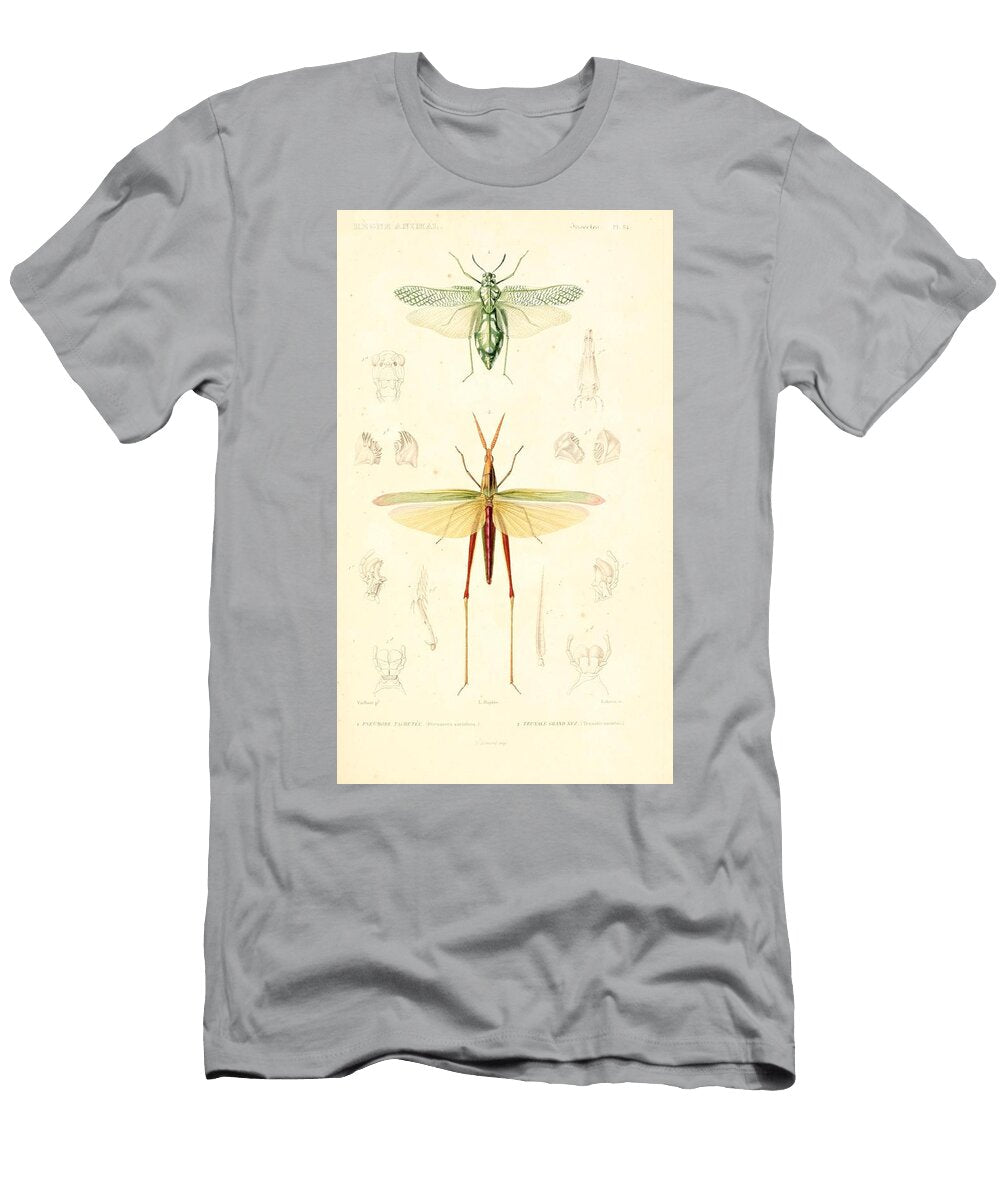 29 Insects Beautiful Nature Prints T-Shirt