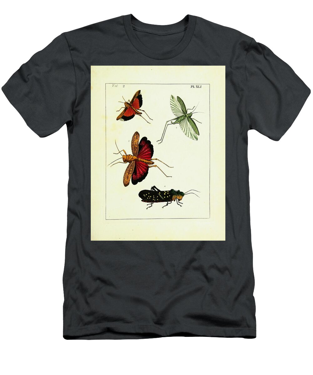 3 Gryllus Locust Beautiful Nature Prints T-Shirt