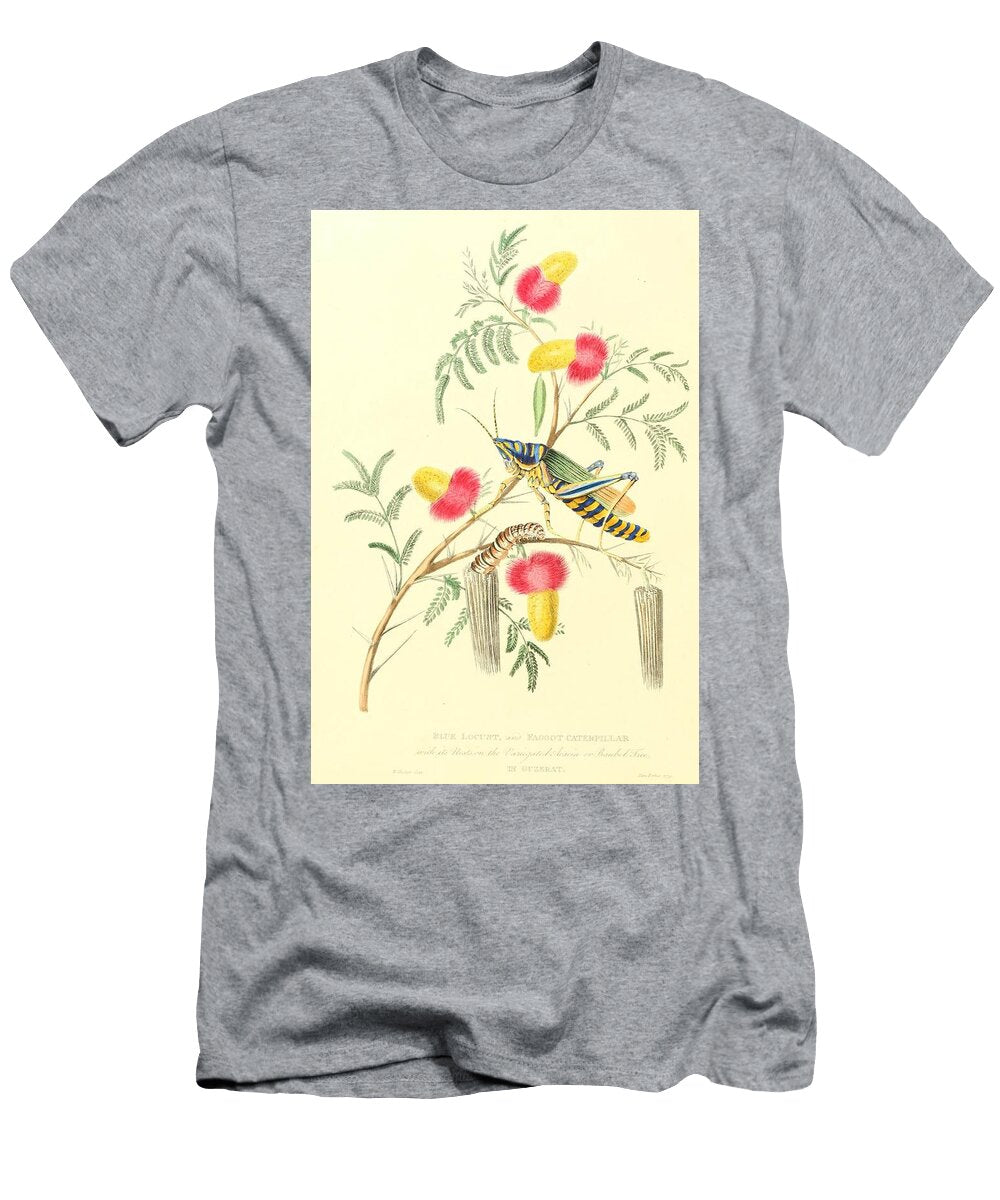 3 Insects Beautiful Nature Prints T-Shirt