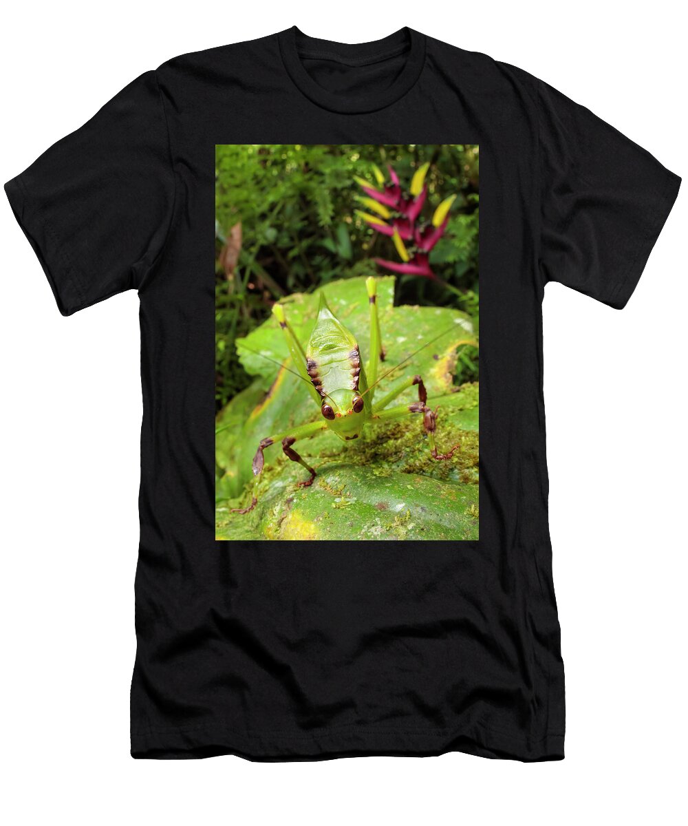 3 Katydid Bush Cricket Camouflaged Amongst Cloud Forest Alex Hyde Natureplcom T-Shirt