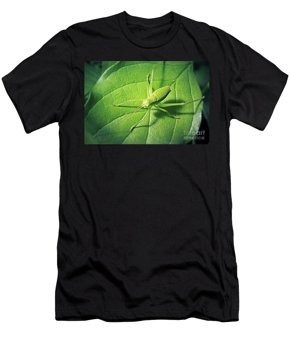 3 Leptophyes Punctatissima Speckled Bush Cricket Insect Frank Ramspott T-Shirt