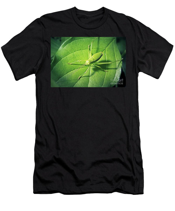 3 Leptophyes Punctatissima Speckled Bush Cricket Insect Frank Ramspott T-Shirt