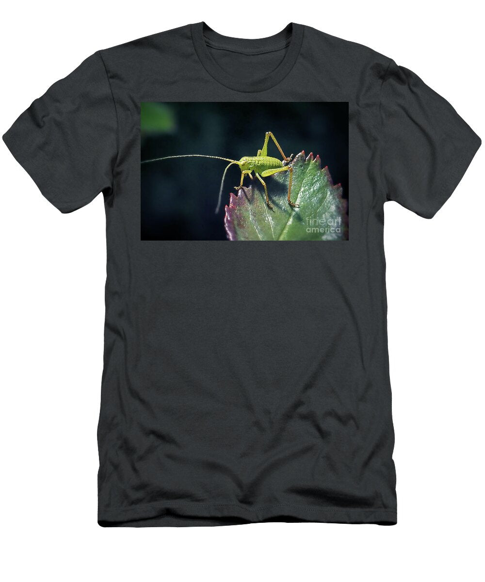 3 Leptophyes Punctatissima Speckled Bush Cricket Nymph Insect Frank Ramspott T-Shirt