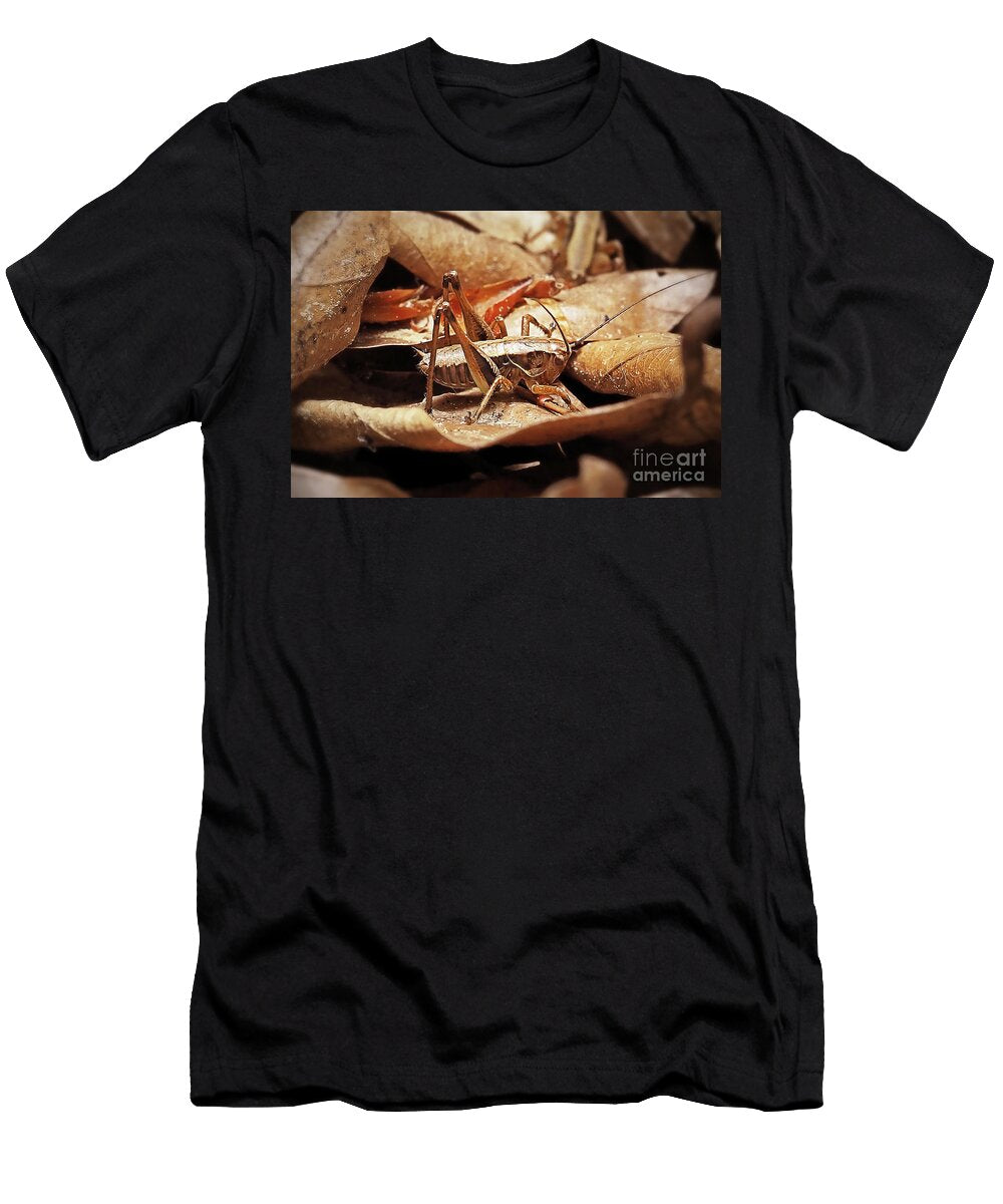 3 Pholidoptera Griseoaptera Dark Bush Cricket Insect Frank Ramspott T-Shirt