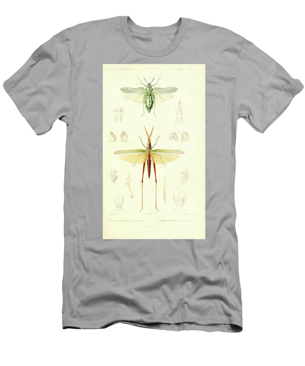 31 Insects Beautiful Nature Prints T-Shirt