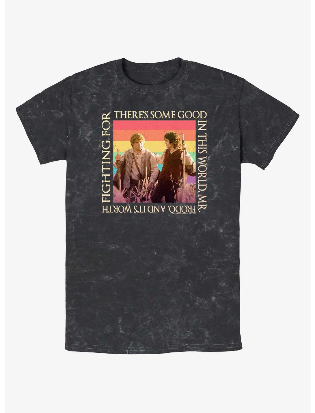 T-shirt délavé The Lord of the Rings Sam and Frodo Good In The World