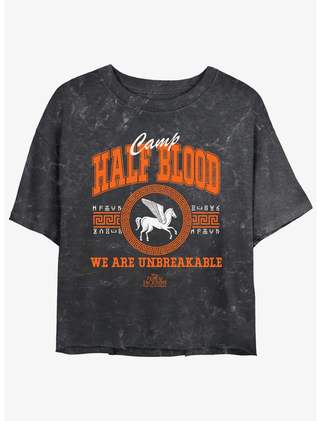 Disney Percy Jackson And The Olympians Camp Half Blood Collegiate Mineral Wash Girls Crop T-Shirt