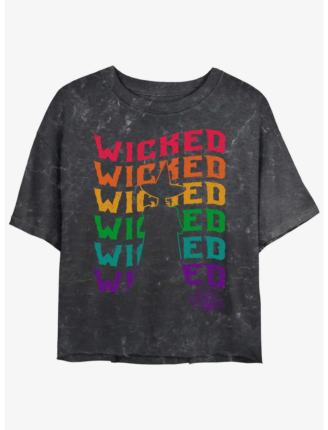T-shirt court The Wizard Of Oz Wavy Wicked Silhouette délavé minéral