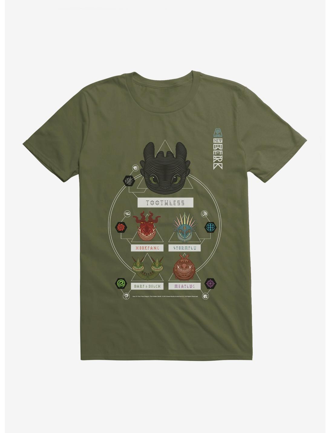 How To Train Your Dragon New Berk Toothless T-Shirt