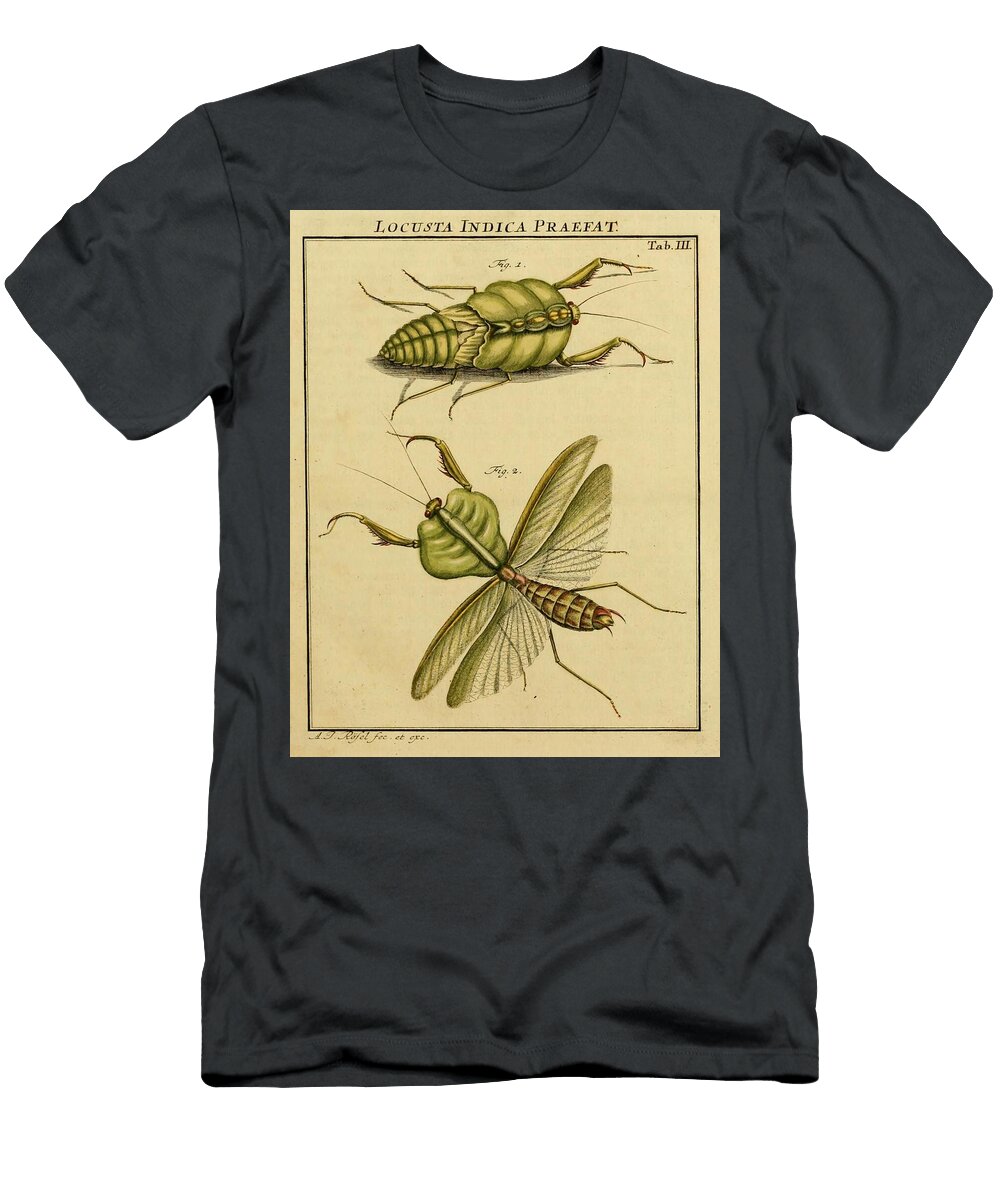 34 Insects Beautiful Nature Prints T-Shirt