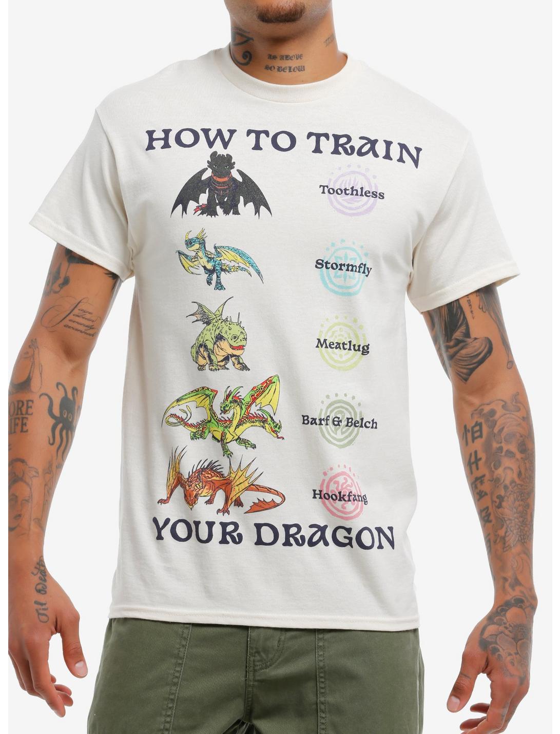 How To Train Your Dragon Night Group T-Shirt
