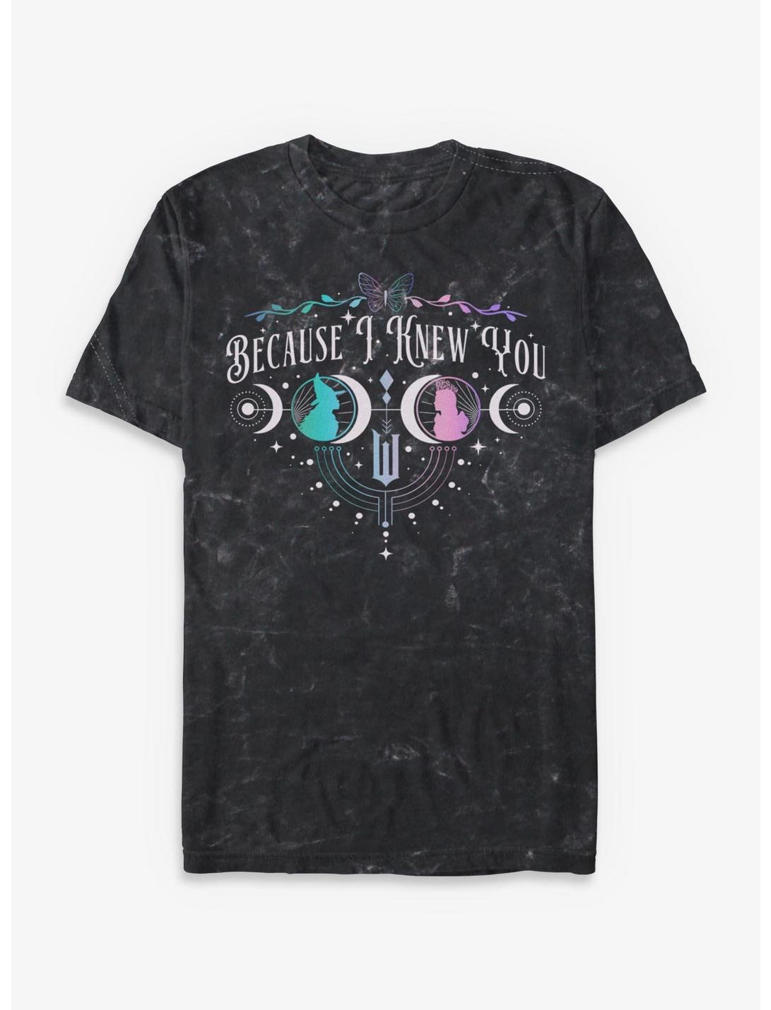 Wicked: For Good Because I Knew You Glinda & Elphaba Moon & Stars Mineral Wash T-Shirt Hot Topic Exclusive