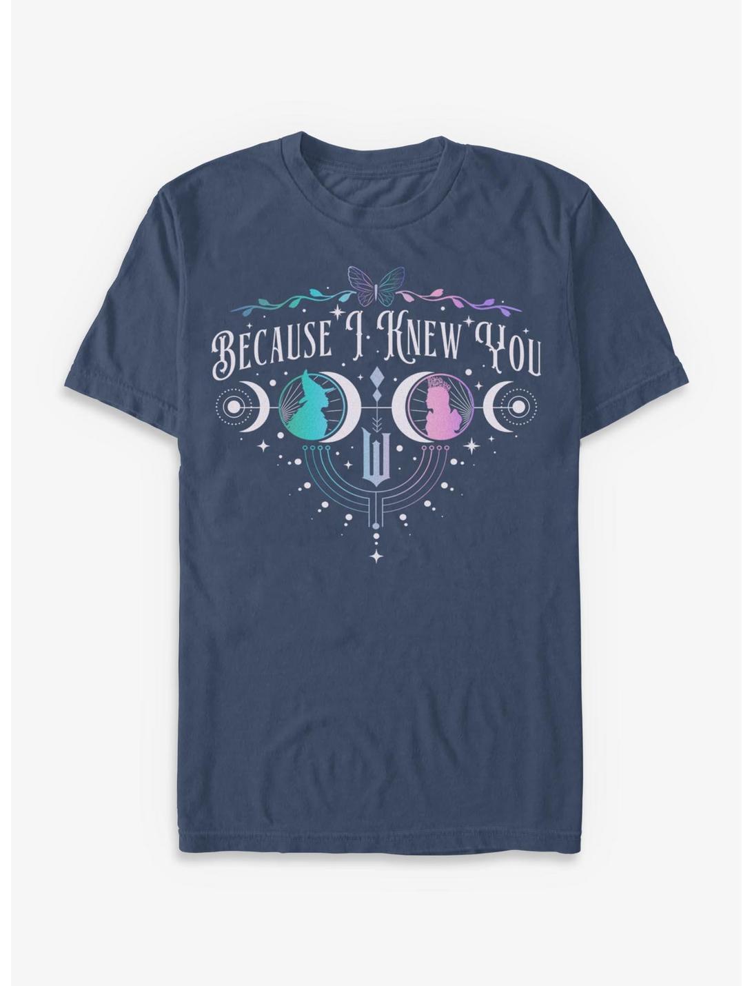 Wicked: For Good Because I Knew You Glinda & Elphaba Moon & Stars Garment Dye T-Shirt Hot Topic Exclusive