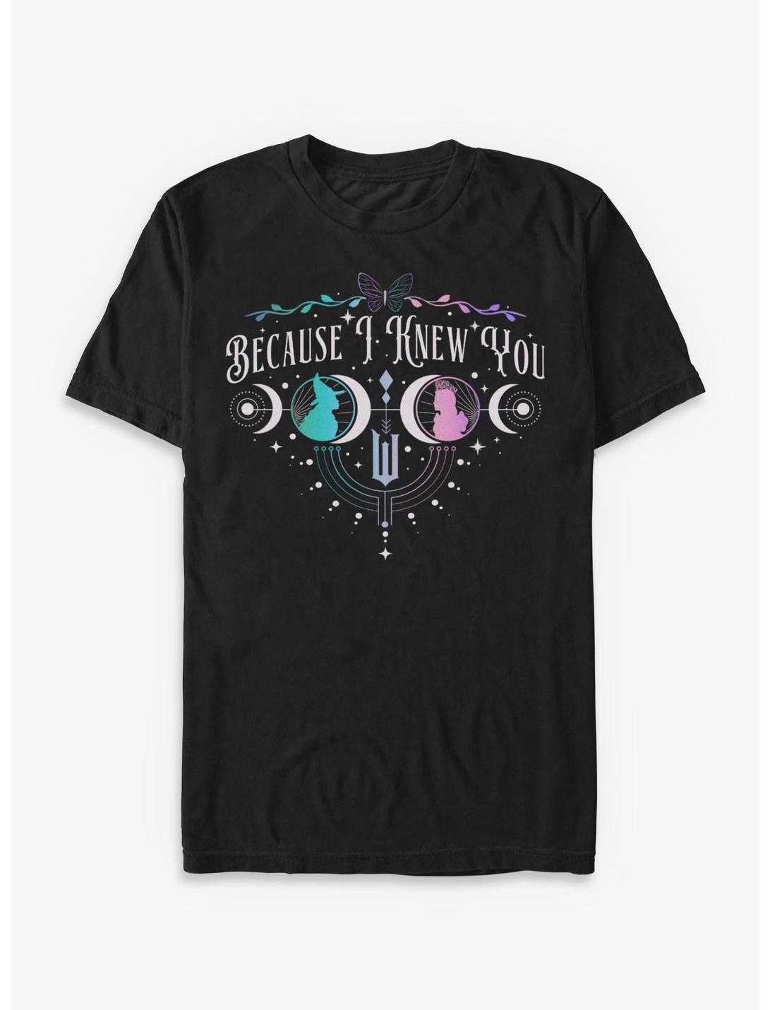 Wicked: For Good Because I Knew You Glinda & Elphaba T-shirt Lune et étoiles Exclusivité Hot Topic