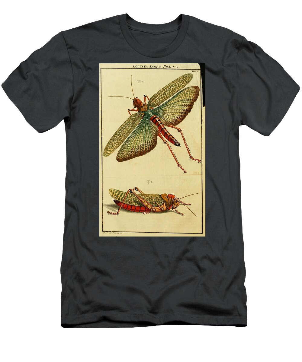 36 Insects Beautiful Nature Prints T-Shirt
