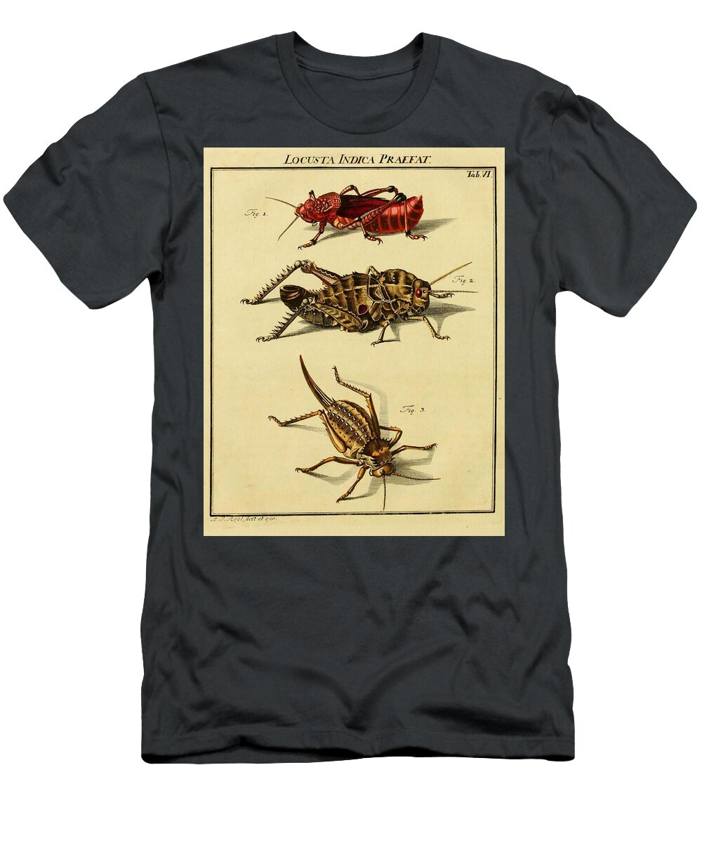 37 Insects Beautiful Nature Prints T-Shirt