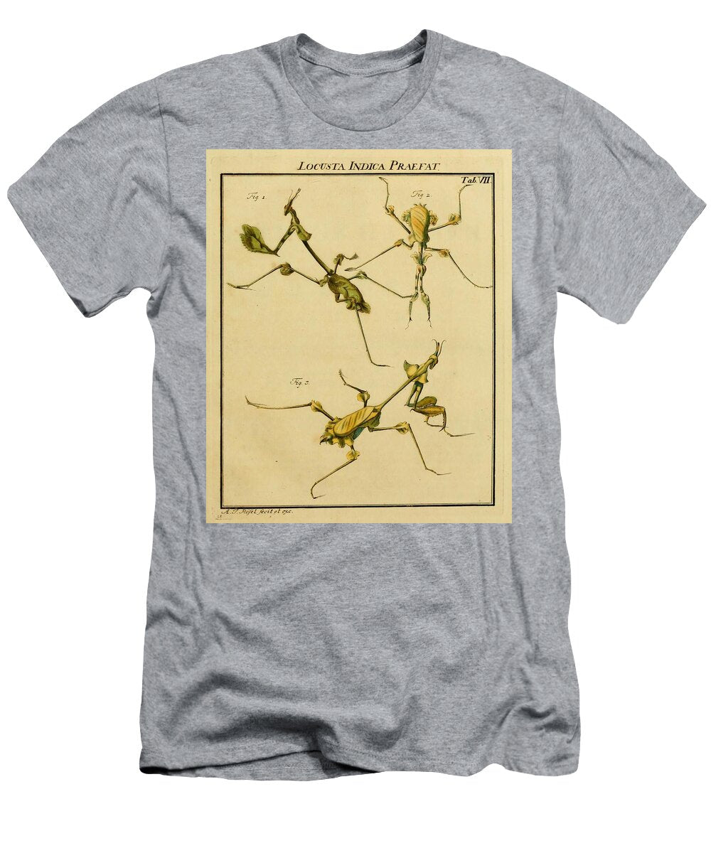 38 Insects Beautiful Nature Prints T-Shirt
