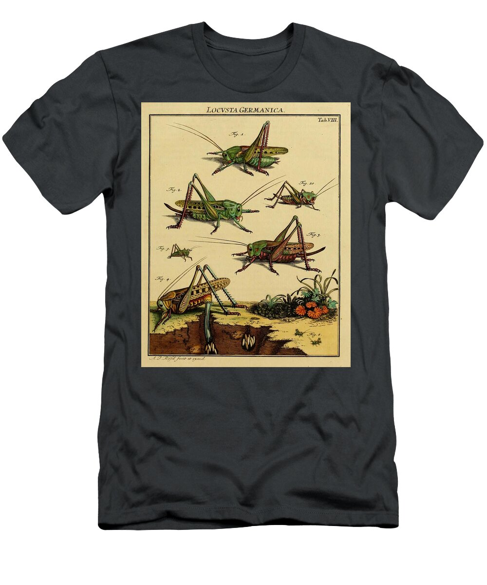 39 Insects Beautiful Nature Prints T-Shirt
