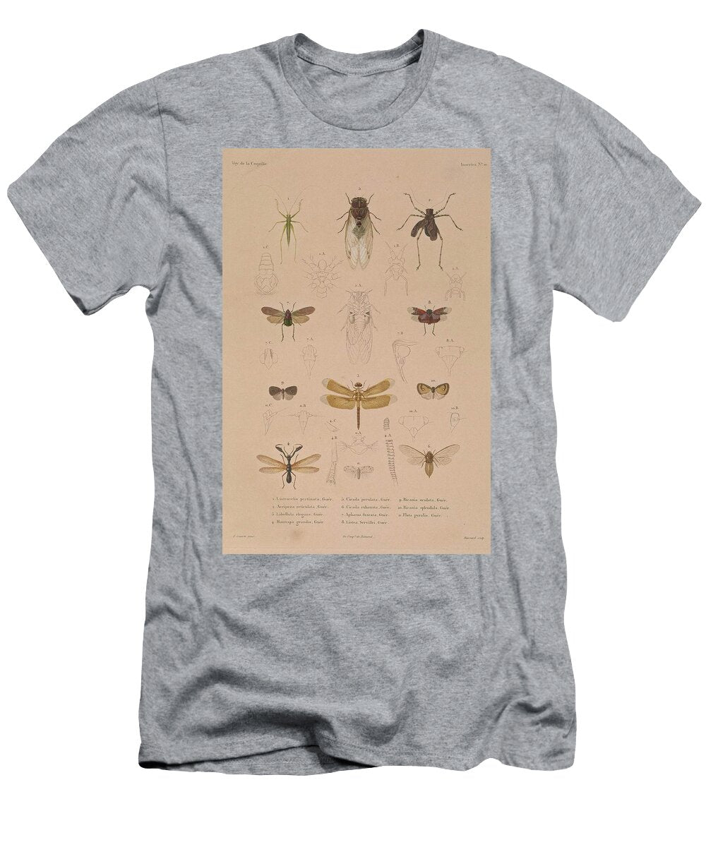 4 Insects Beautiful Nature Prints T-Shirt