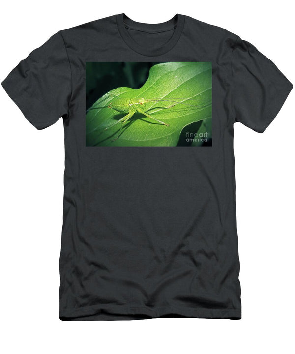 4 Leptophyes Punctatissima Speckled Bush Cricket Insect Frank Ramspott T-Shirt