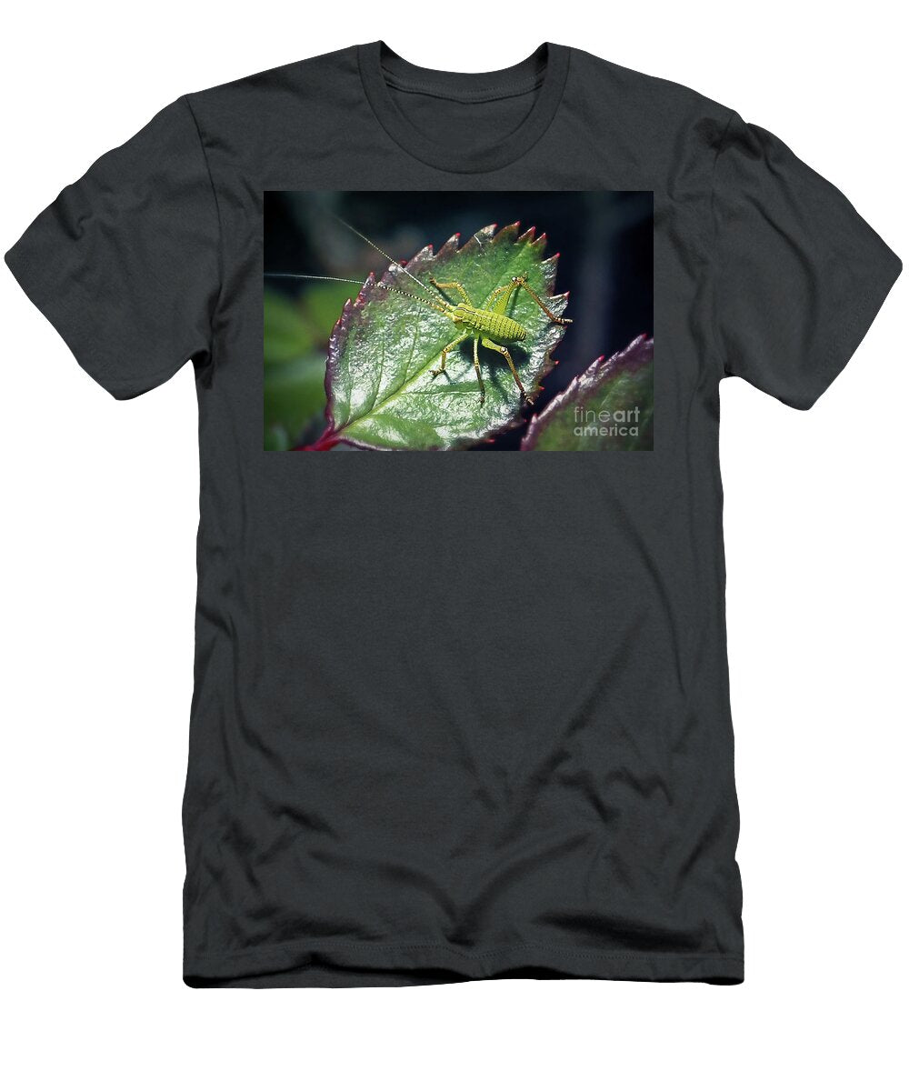 4 Leptophyes Punctatissima Speckled Bush Cricket Nymph Insect Frank Ramspott T-Shirt