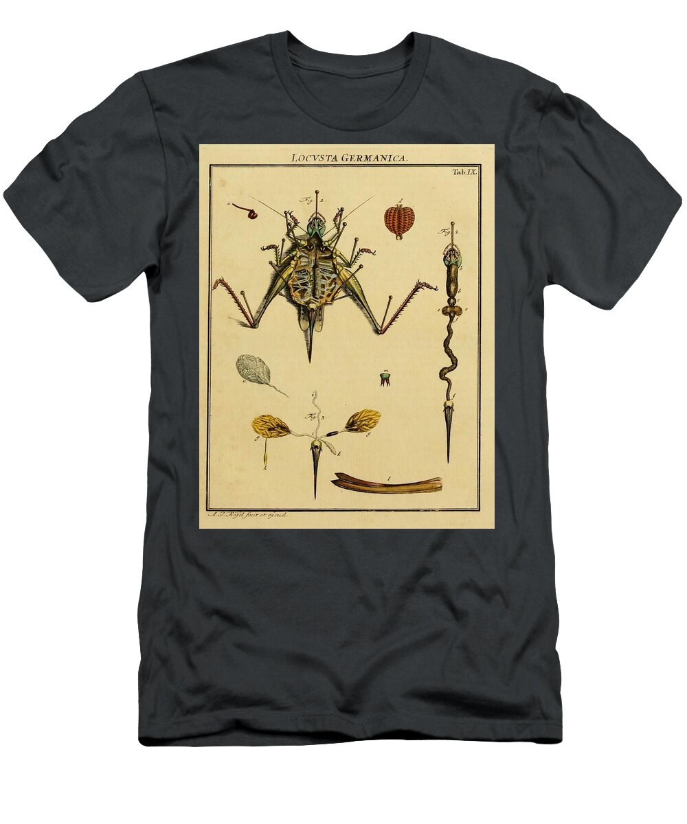40 Insects Beautiful Nature Prints T-Shirt