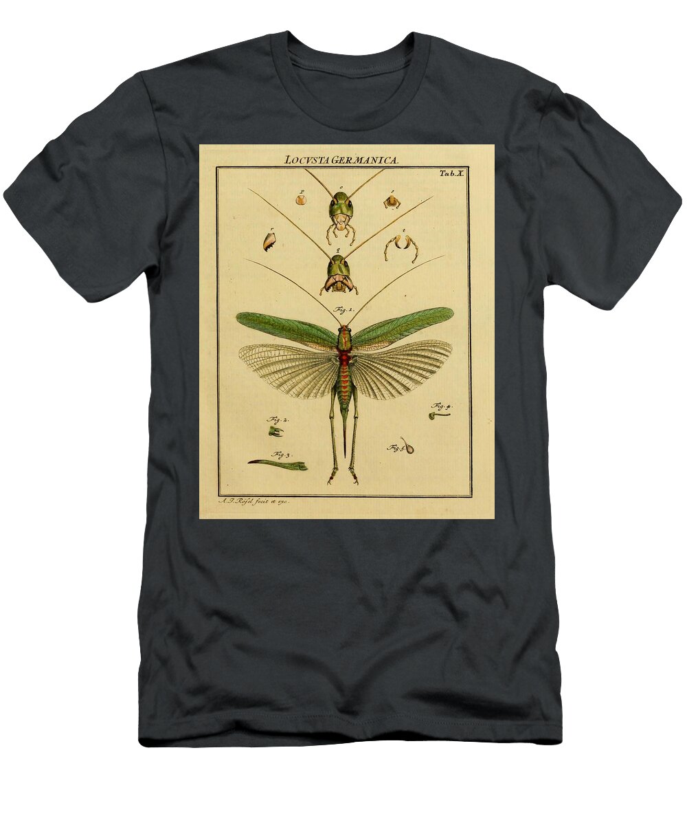 41 Insects Beautiful Nature Prints T-Shirt