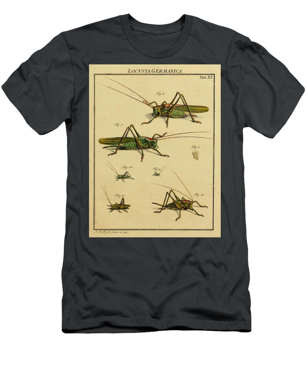 42 Insects Beautiful Nature Prints T-Shirt