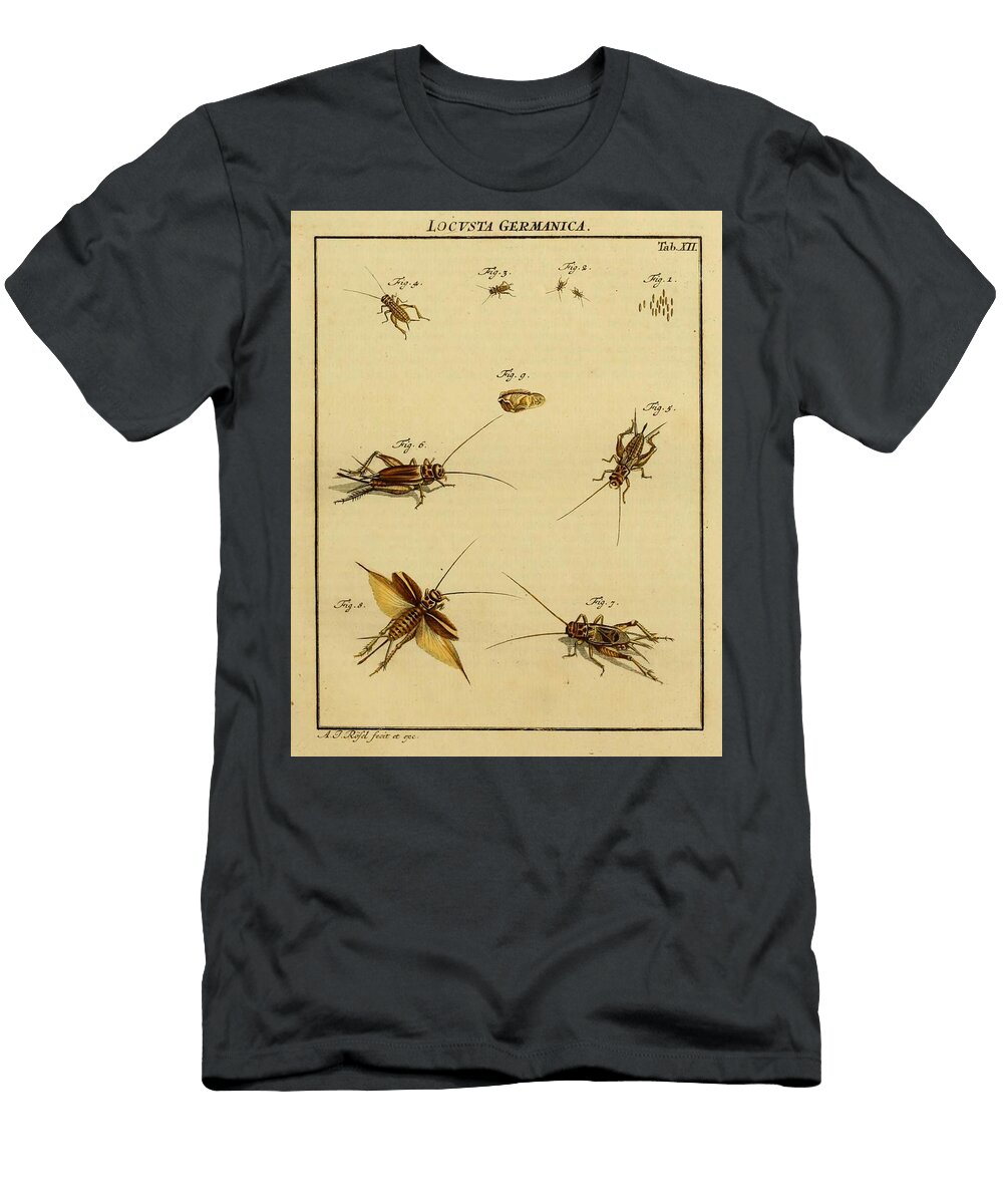 43 Insects Beautiful Nature Prints T-Shirt