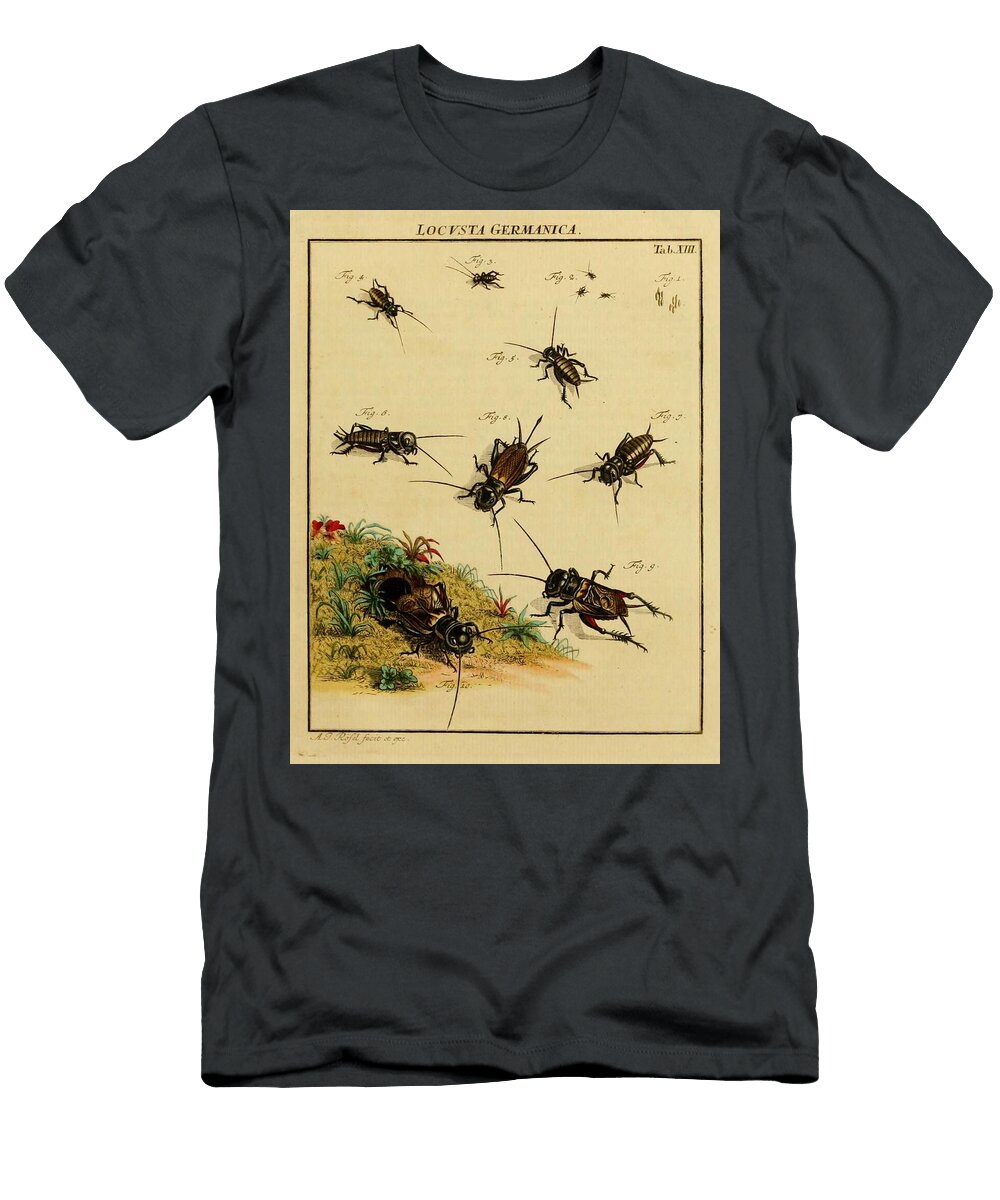44 Insects Beautiful Nature Prints T-Shirt